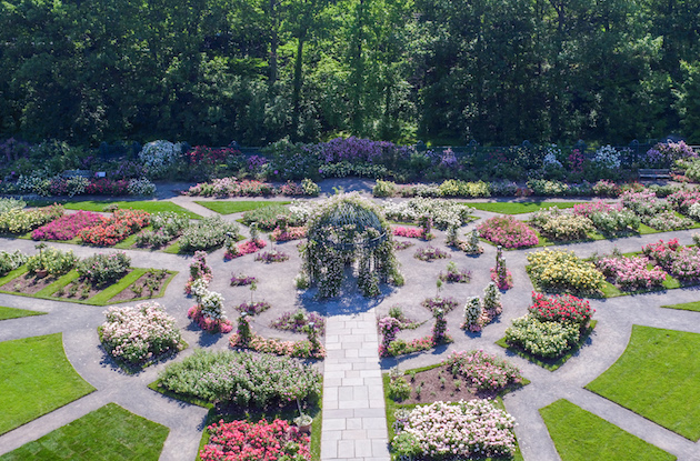 New York Botanical Garden Launches NYBG at Home Educational Hub