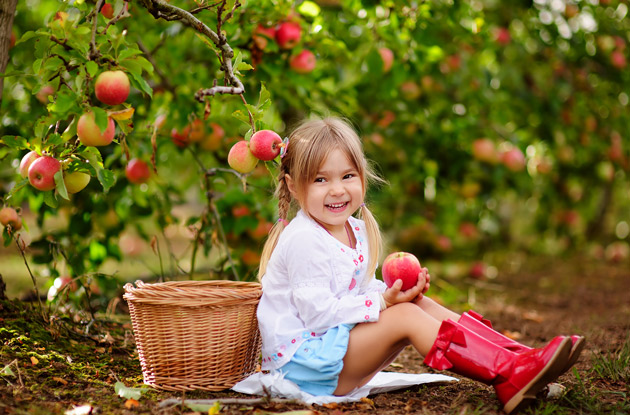 Apple Picking in New York: Your Family Will Love These 11 Orchards