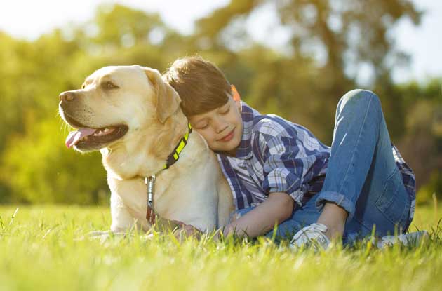 Special Needs: Service Dogs for Children with Autism