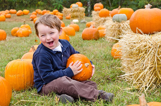 Pumpkin Picking in the New York Metro Area