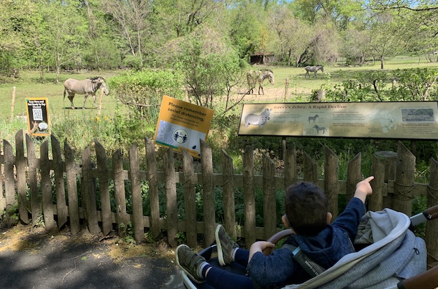 Why the Bronx Zoo is an Awesome Family Destination