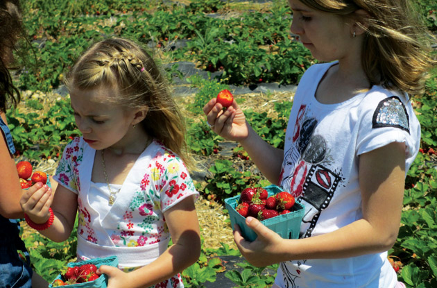 40 Things to Do Outdoors on Long Island with Your Kids