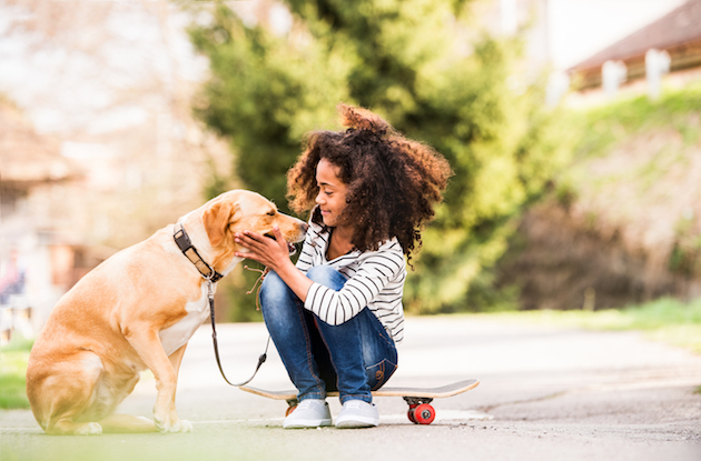 Teaching Children How to Interact with Animals