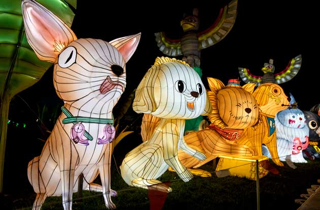 LuminoCity Festival of Holiday Lights Returns for 2022