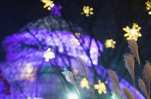 New York Botanical Garden’s Train Show and Christmas Lights Return this Year