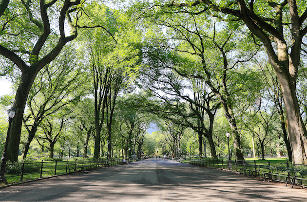 How to Explore NYC Parks from Home