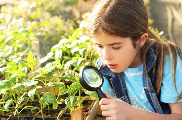 Earn Girl Scouts Badges From Home with Free Activities in STEM, Creative Arts, and More