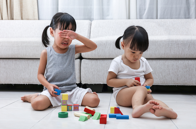 What Are the Best Ways to Manage Sibling Rivalry?