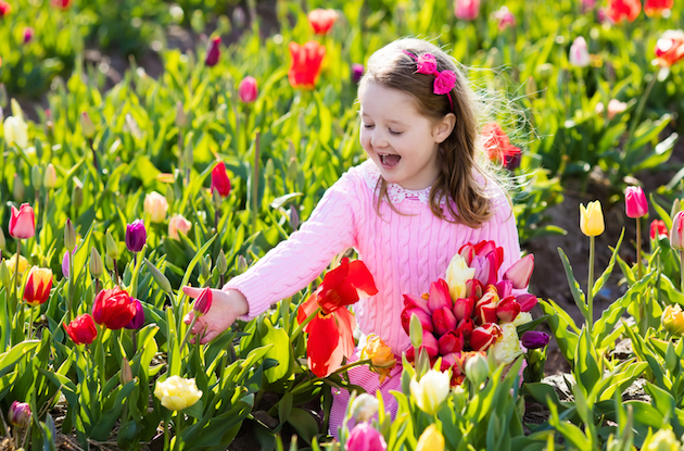 Flower Picking in the New York Area