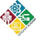 Discover STEAM Summer Camps @ Little Ivy Academy