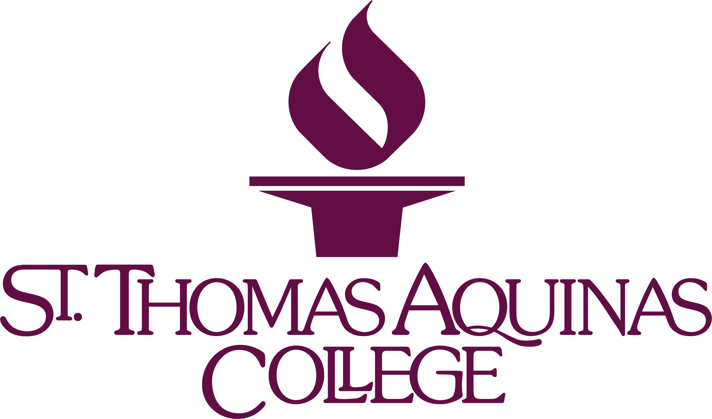 St. Thomas Aquinas College, STEAM Summer Camp 