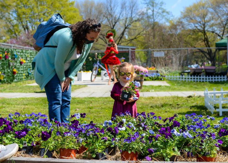 queens botanical