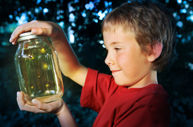 catch fireflies with your kids at night