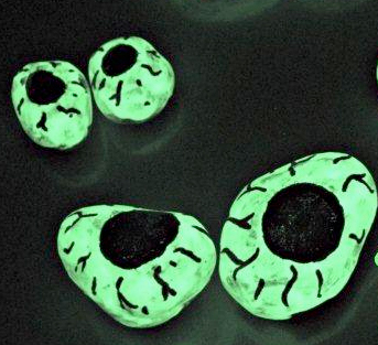 rocks painted as glow-in-the-dark eyes